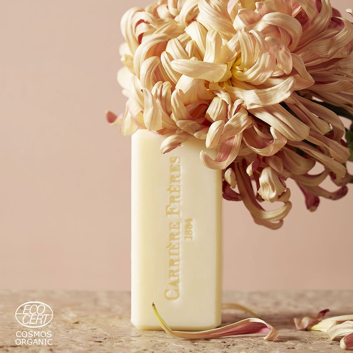Apotheca Solid Body Soap