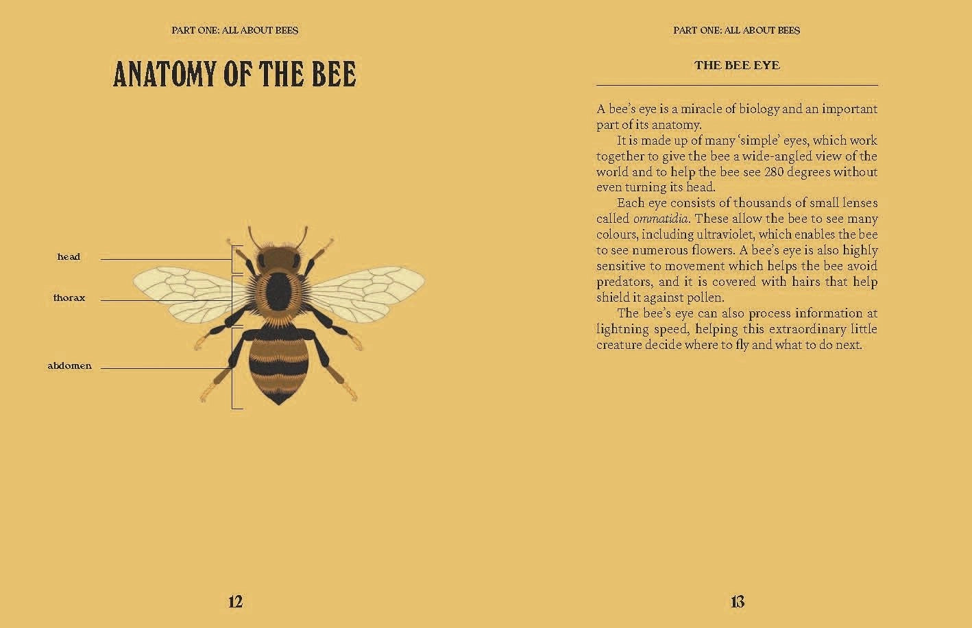 Bees