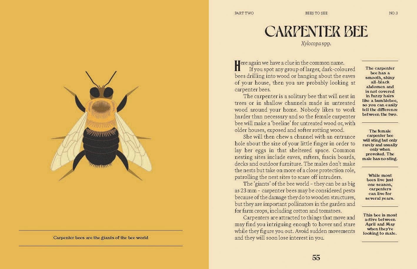 Bees