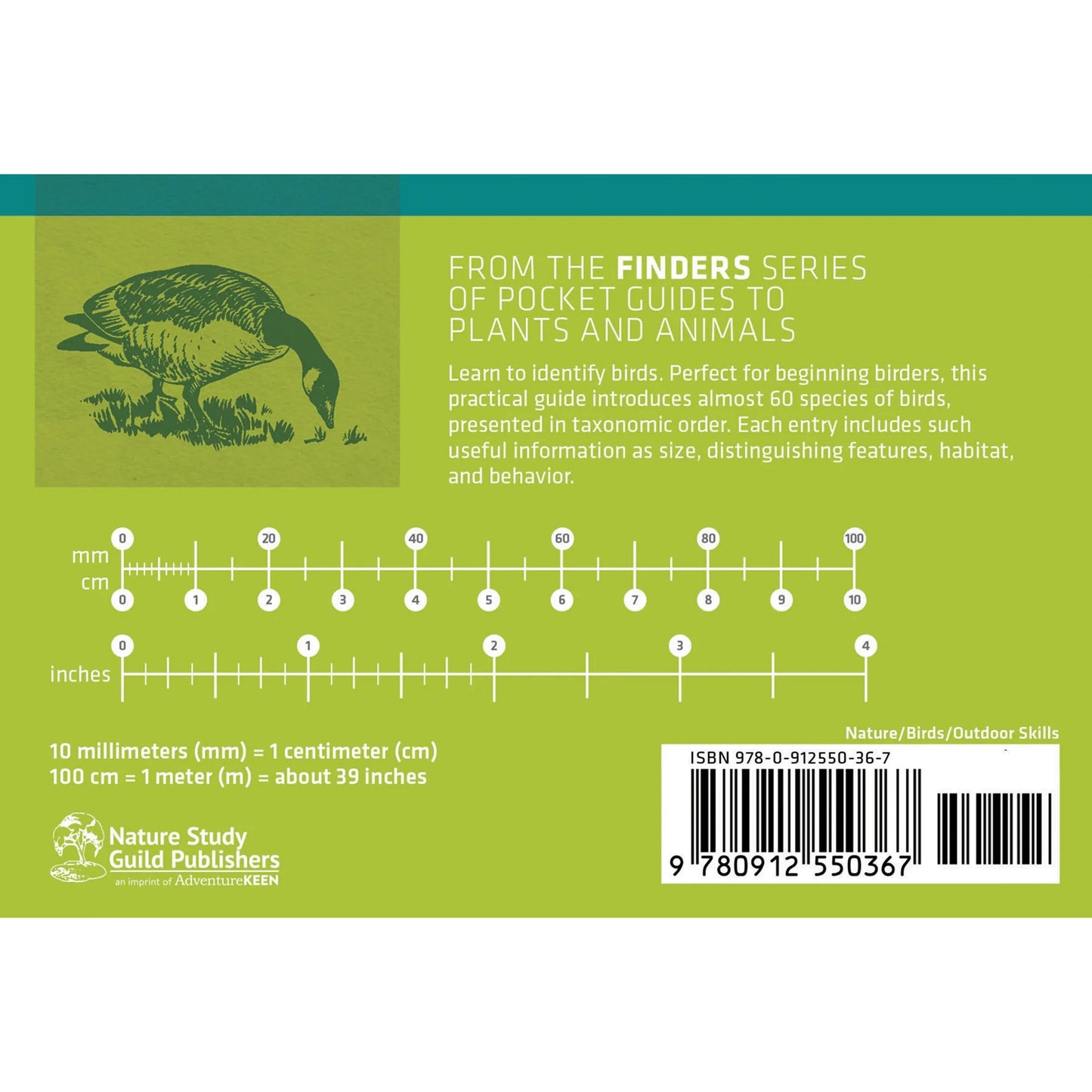 Bird Finder: Identifying Common Birds of Eastern North America