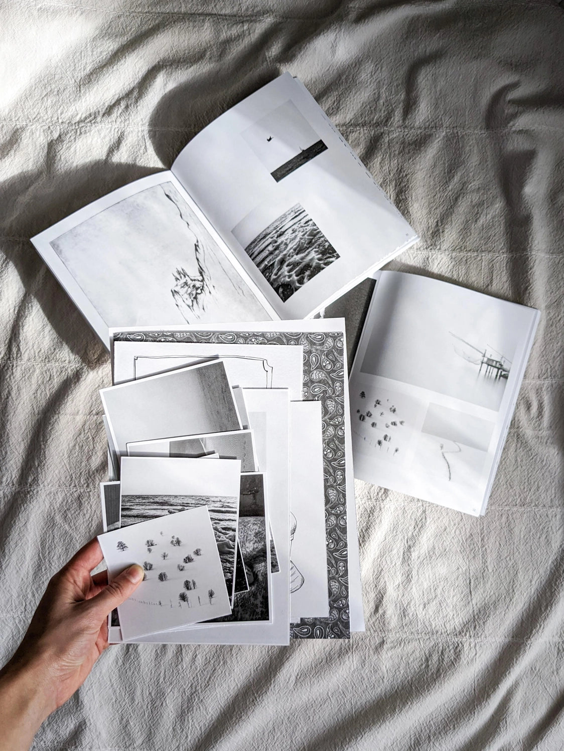 Cut + Paste Issue 06: Black & White