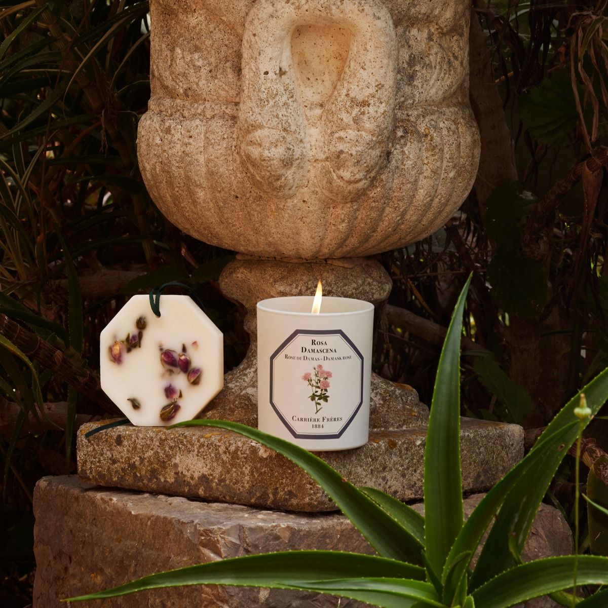 Damask Rose Candle