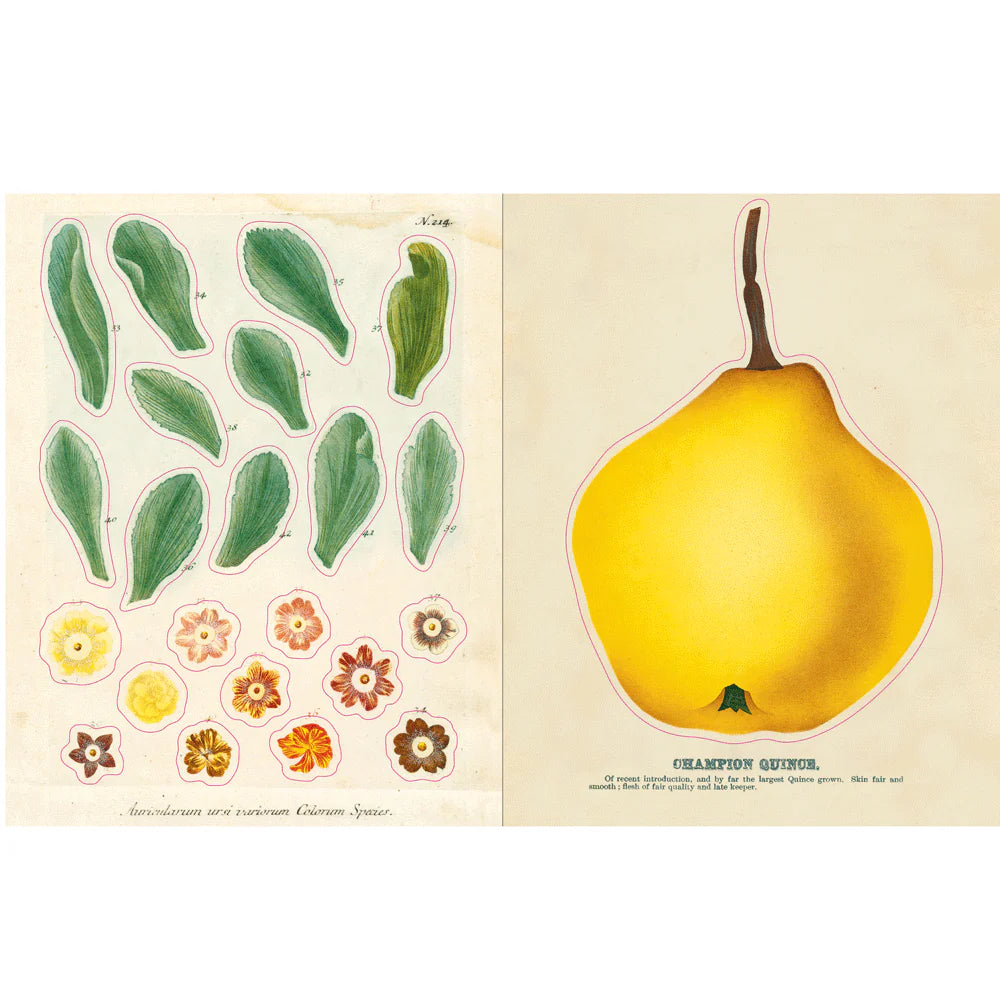 The John Derian Sticker Book