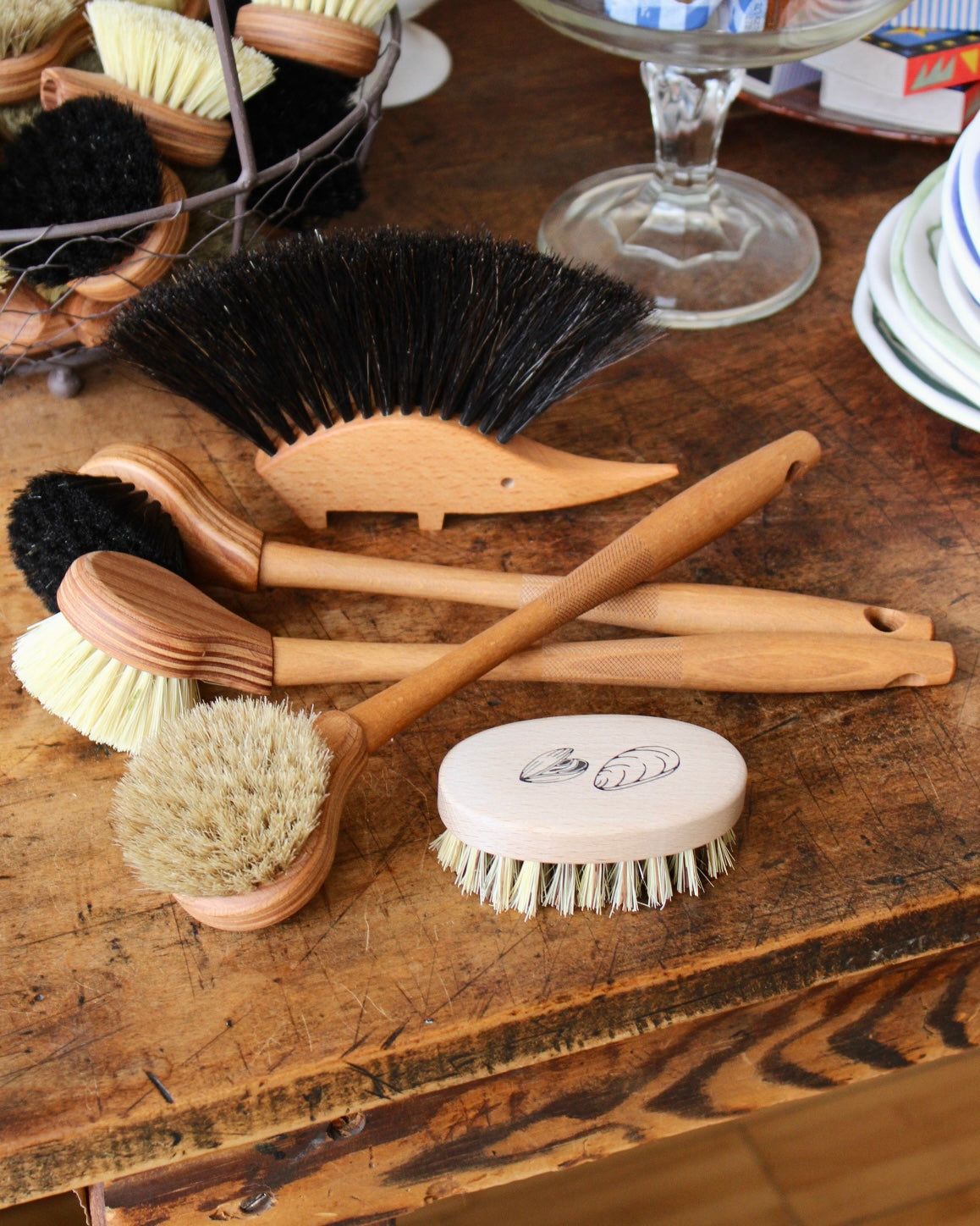 Dish Brush