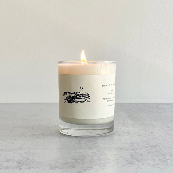 Land Soy Candle