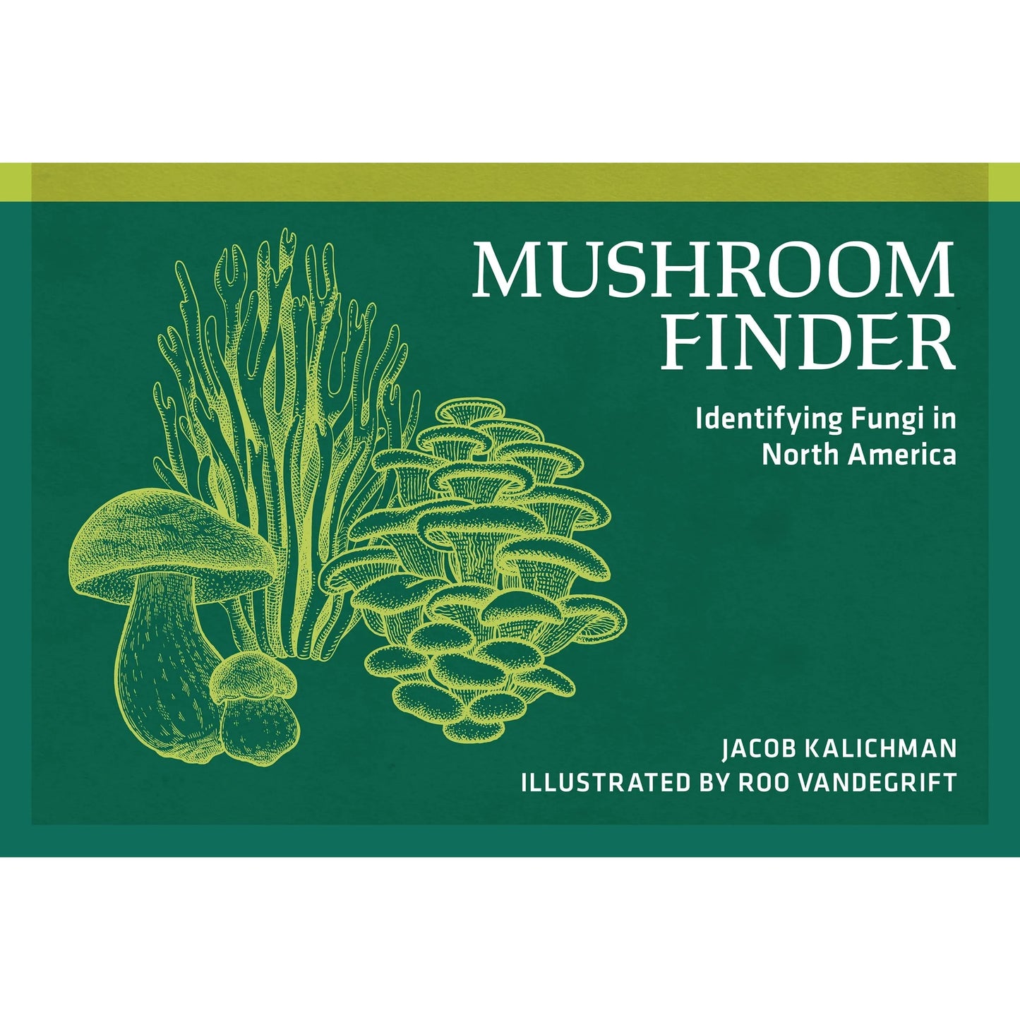 Mushroom Finder: Identifying Fungi in North America