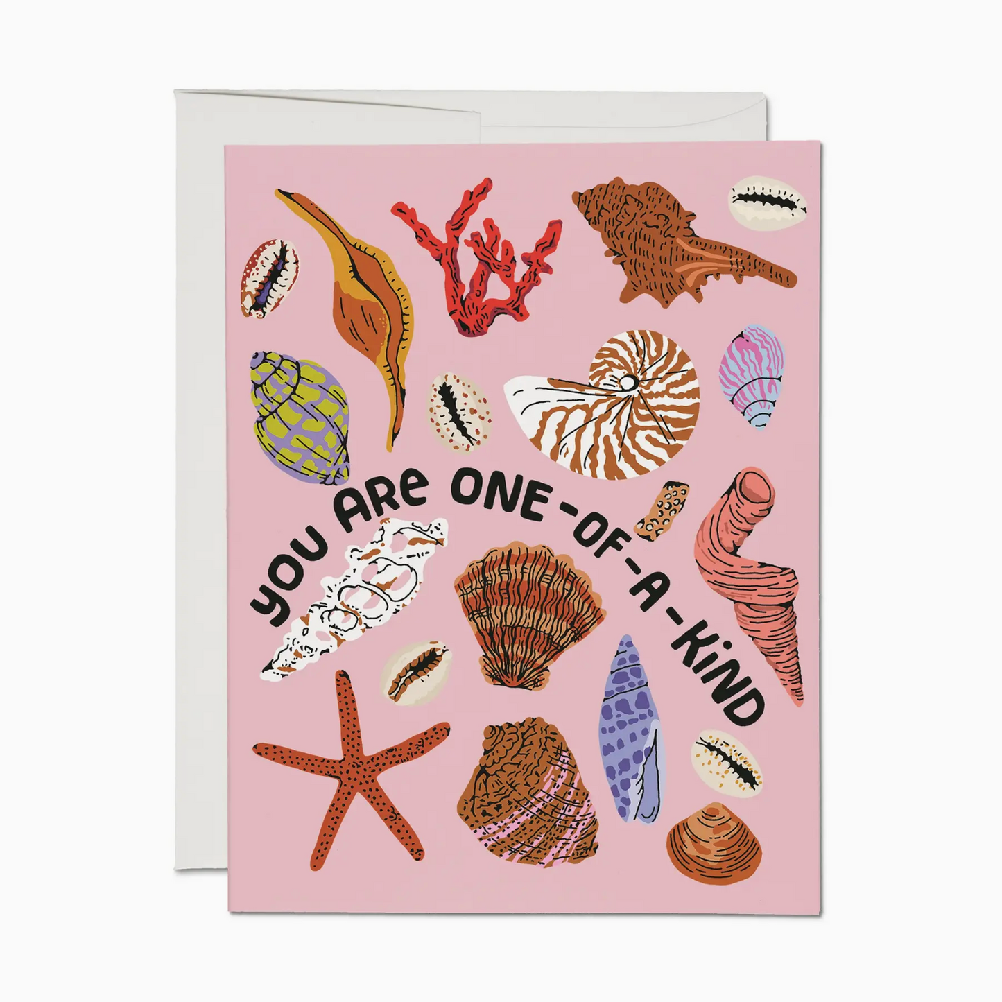 Special Seashell Card