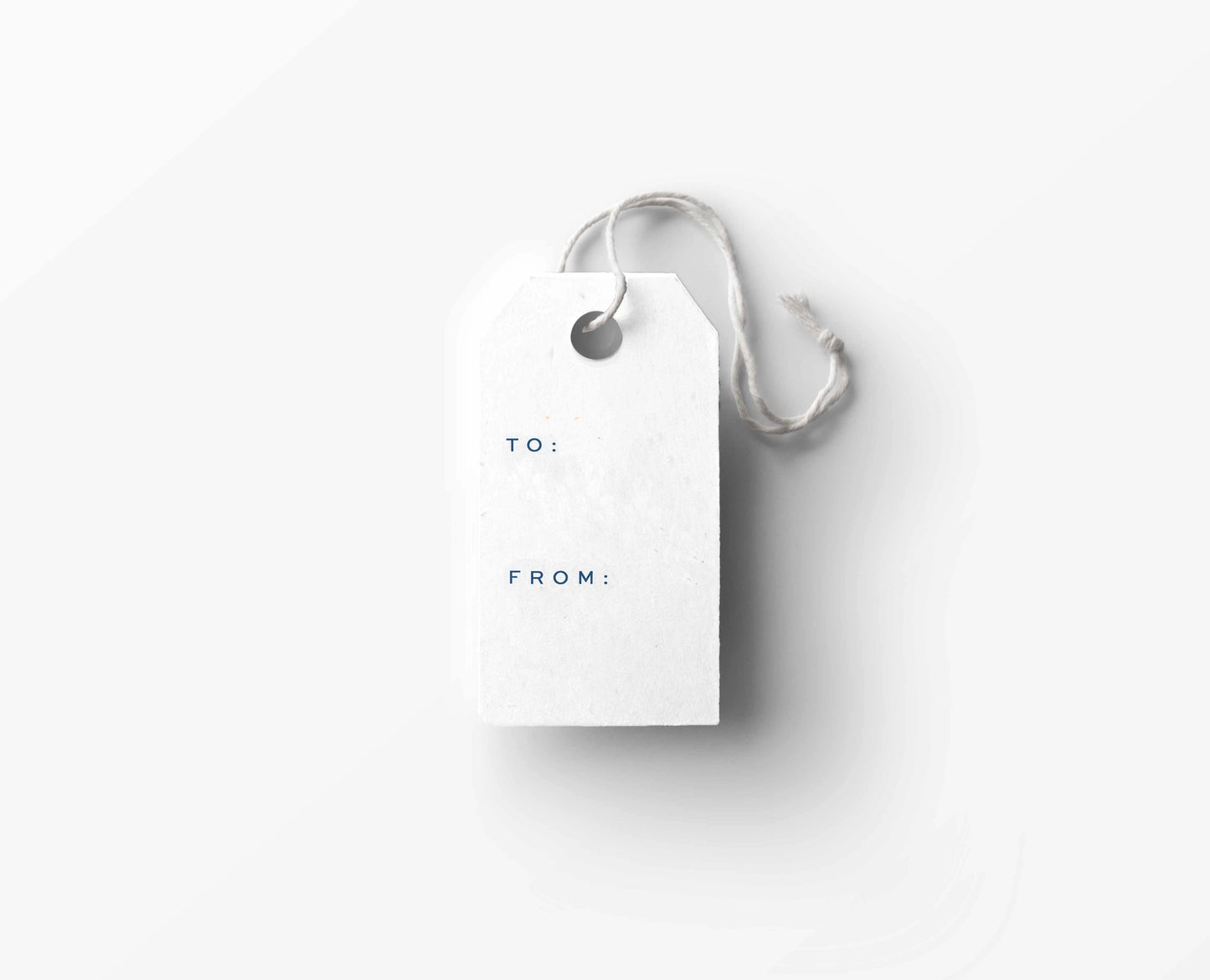 Petite Skater Holiday Gift Tags - Set of 12