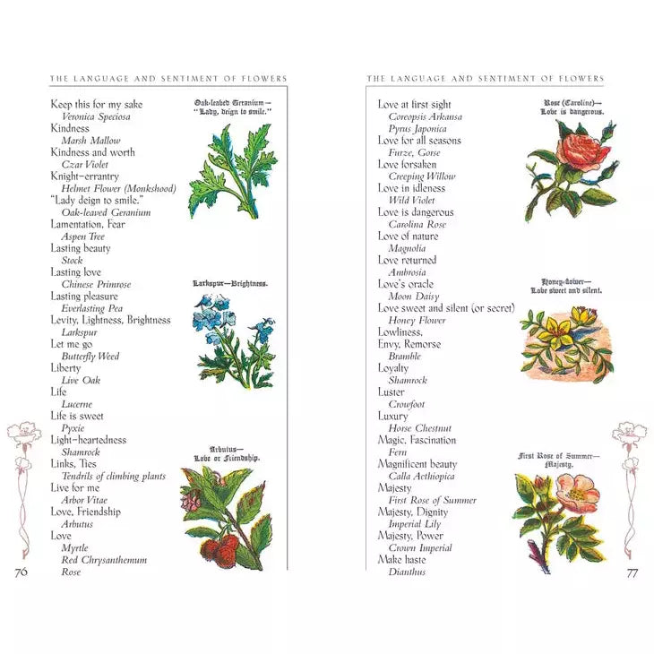 The Language and Sentiment of Flowers