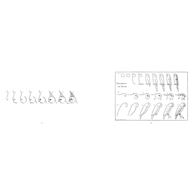 What to Draw and How to Draw It
