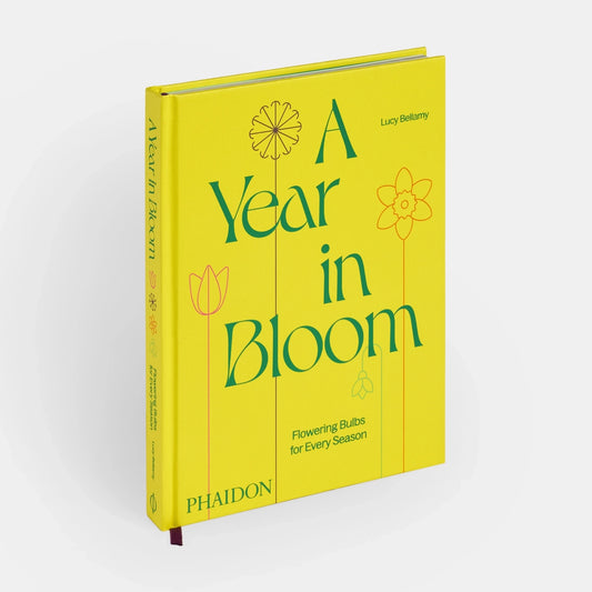 A Year in Bloom: Flowering Bulbs For Every Season