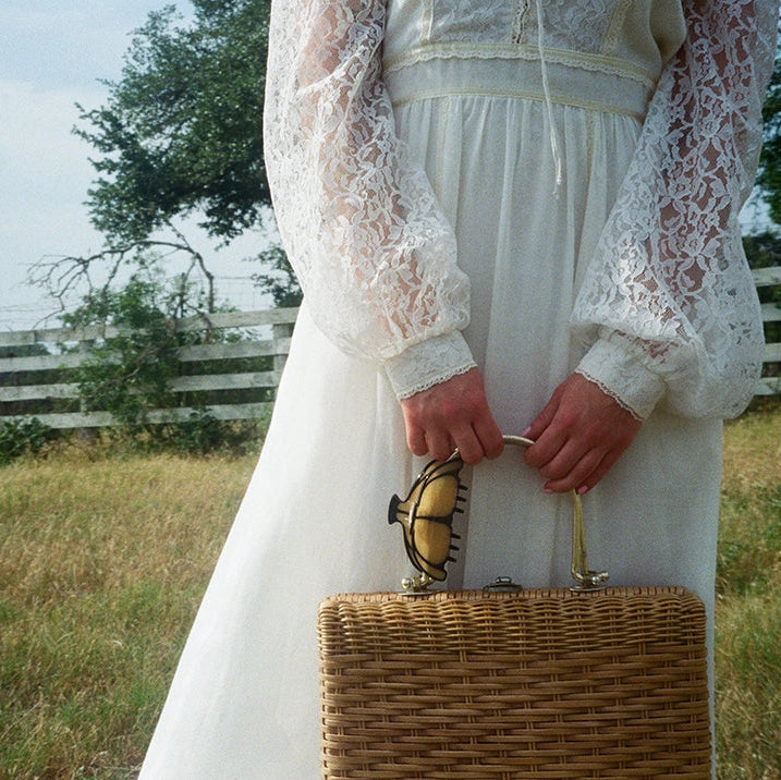 Butterfly Lamp Claw Clip