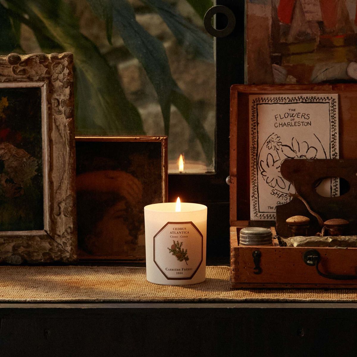 Cedar Candle