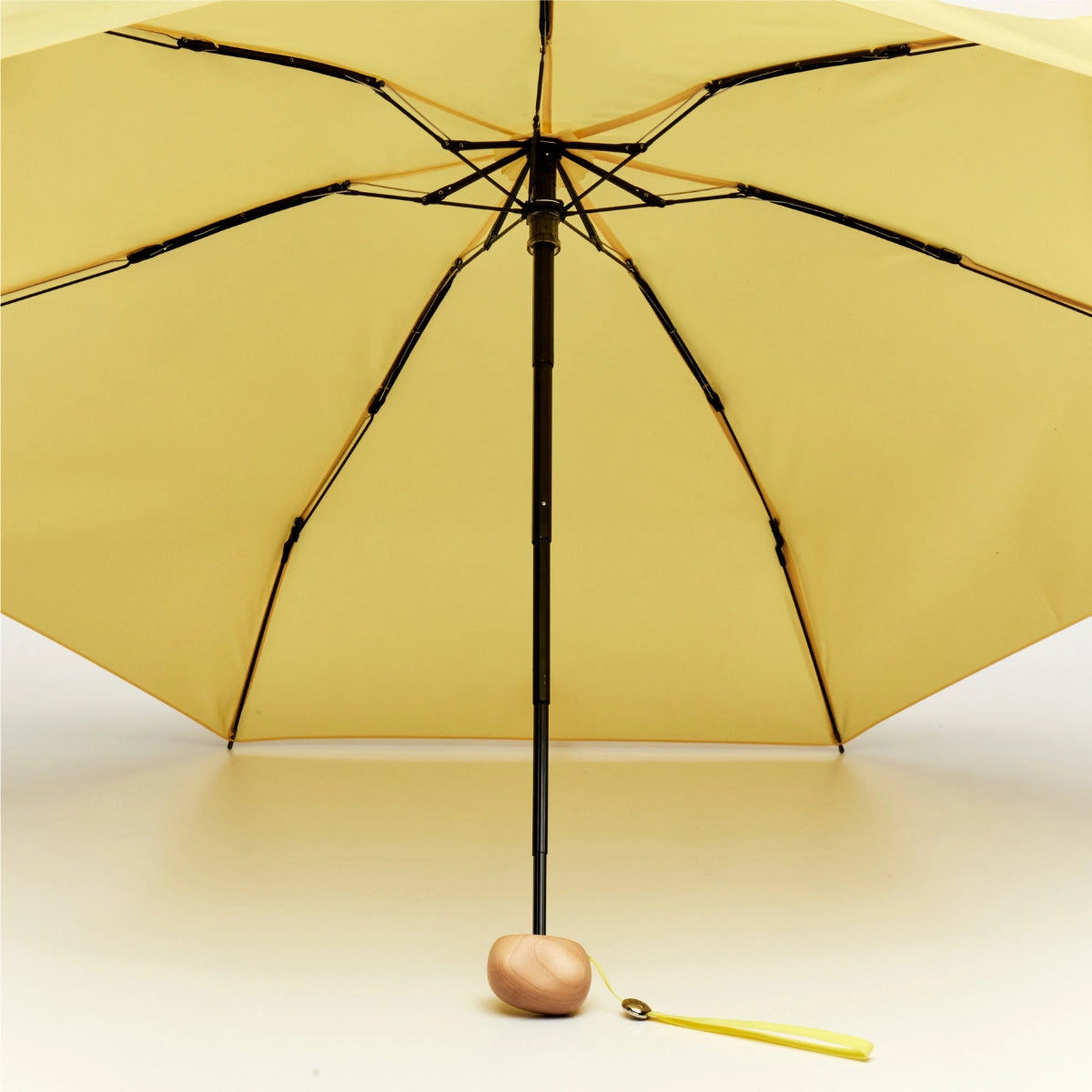 Compact Umbrella