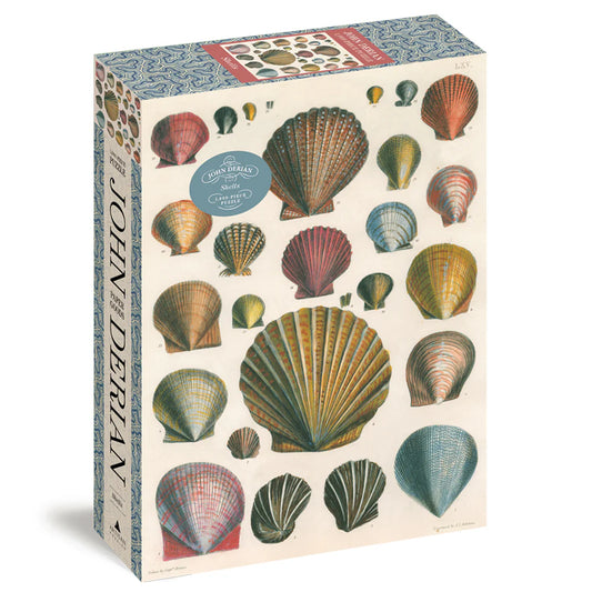 Shells 1000 Piece Puzzle
