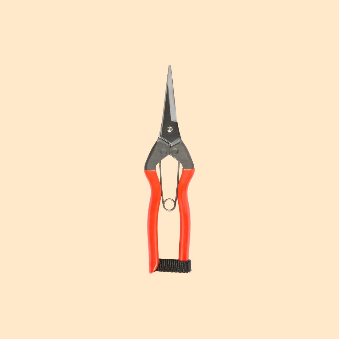 Garden Snips