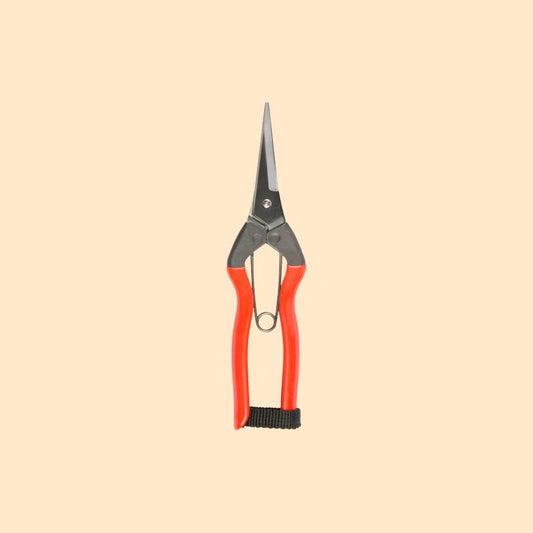 Garden Snips
