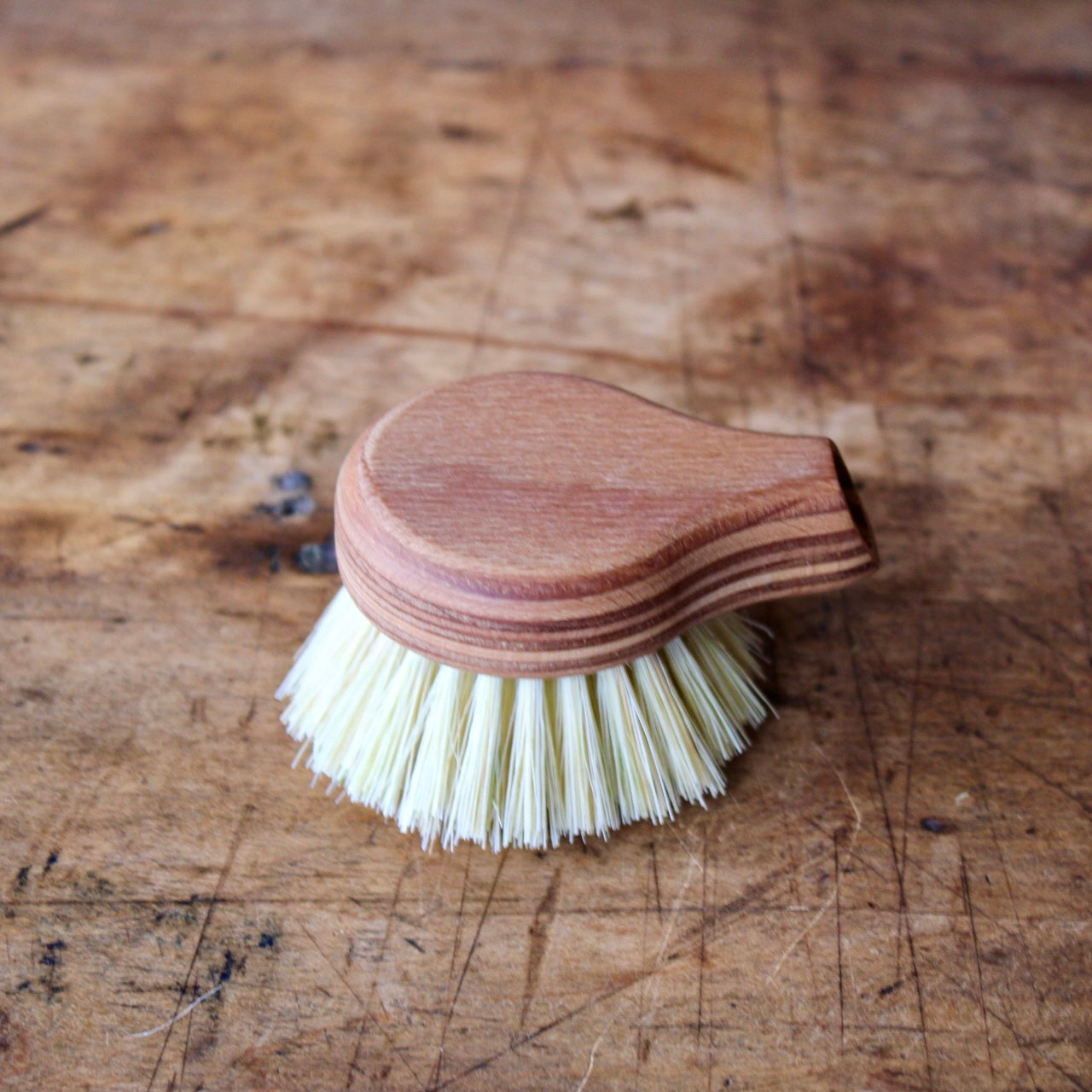 Dish Brush Replacement Brush Head