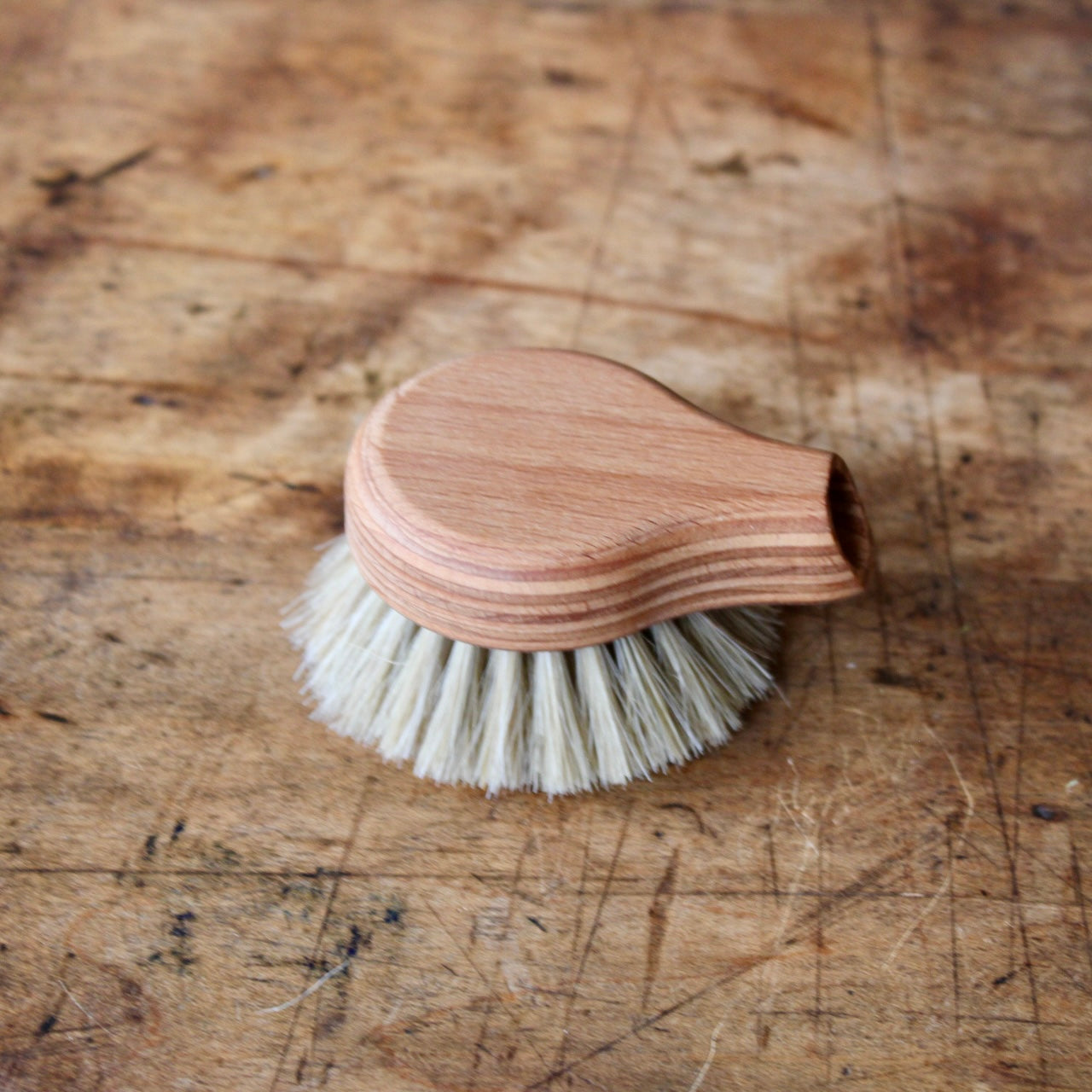 Dish Brush Replacement Brush Head