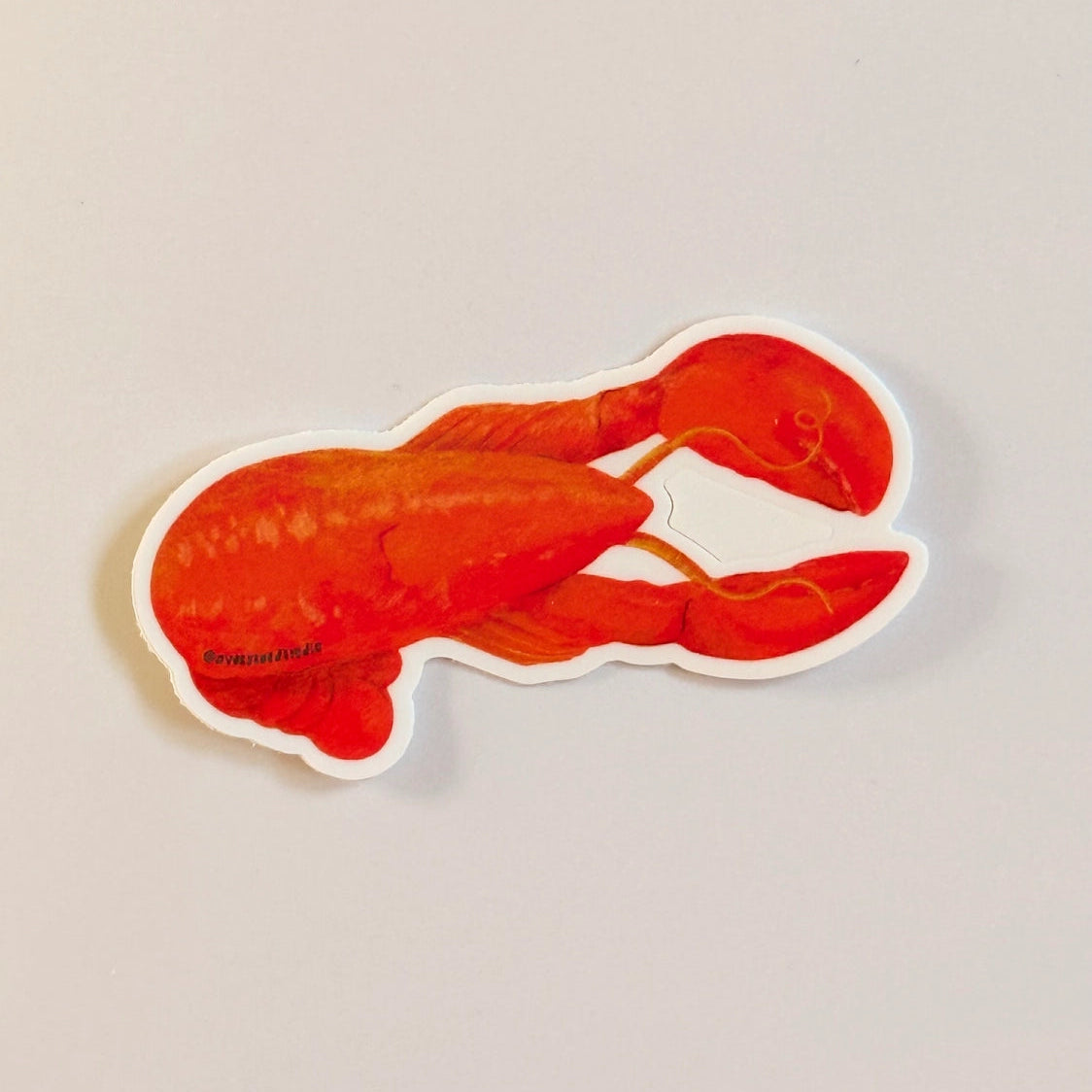 Lobster Sticker