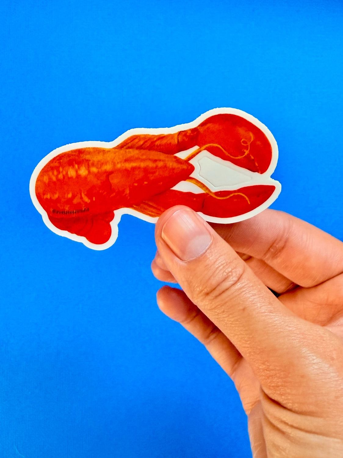 Lobster Sticker