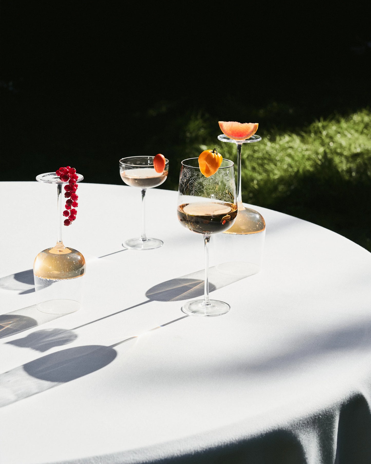 Red Wine Glass Anenome Vaniglia