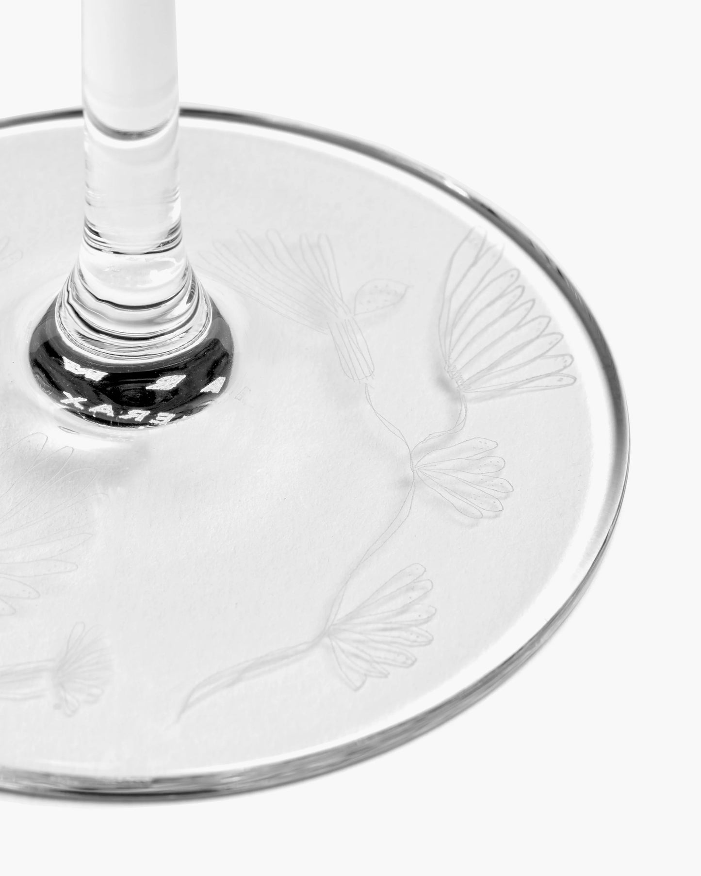 Champagne Flute Camelia Aubergine