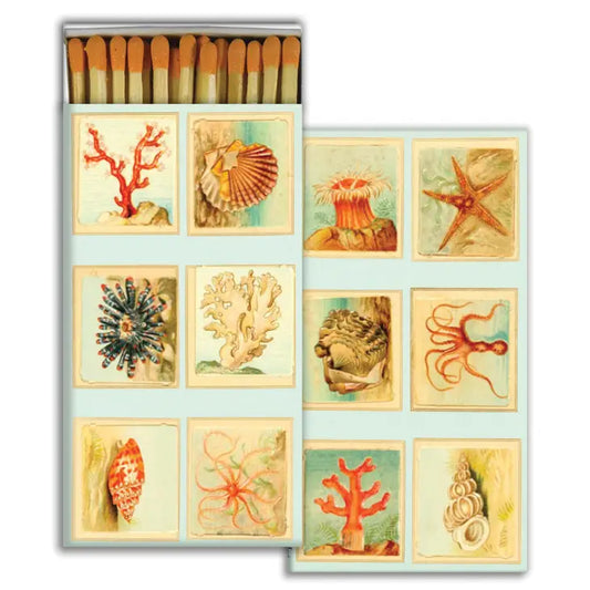 Mollusk, Coral, and Sea Star Matches