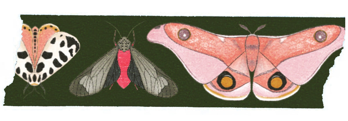 Moth Washi Tape