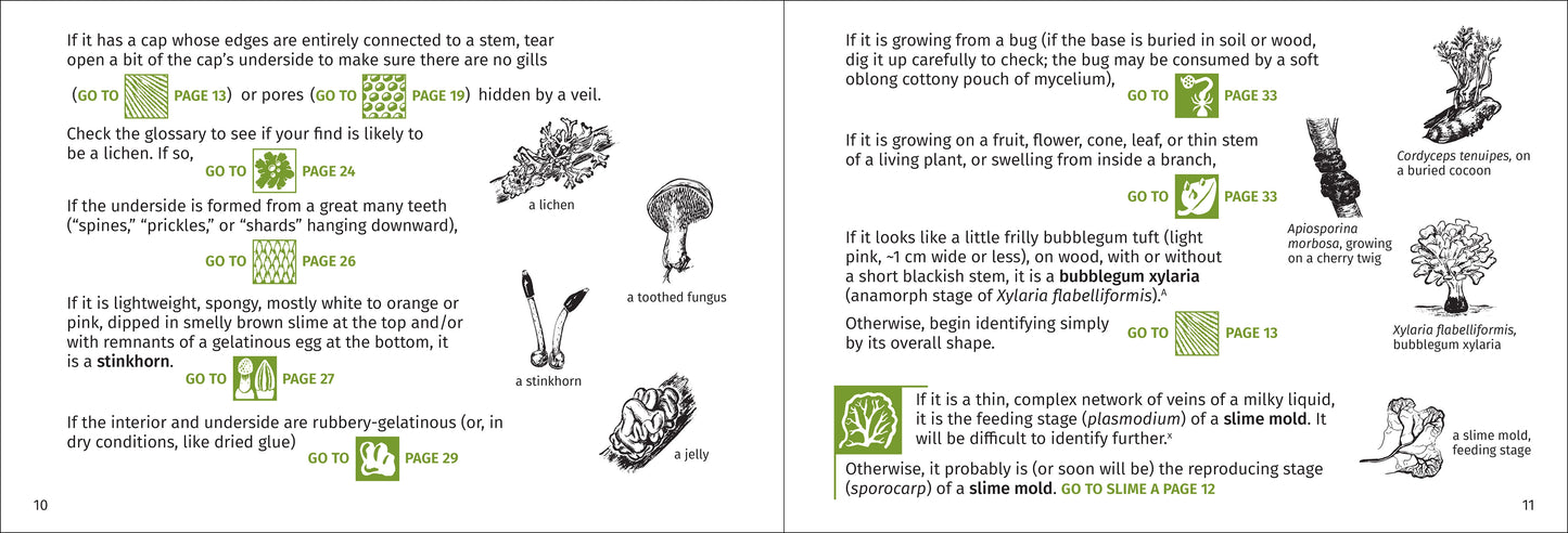 Mushroom Finder: Identifying Fungi in North America