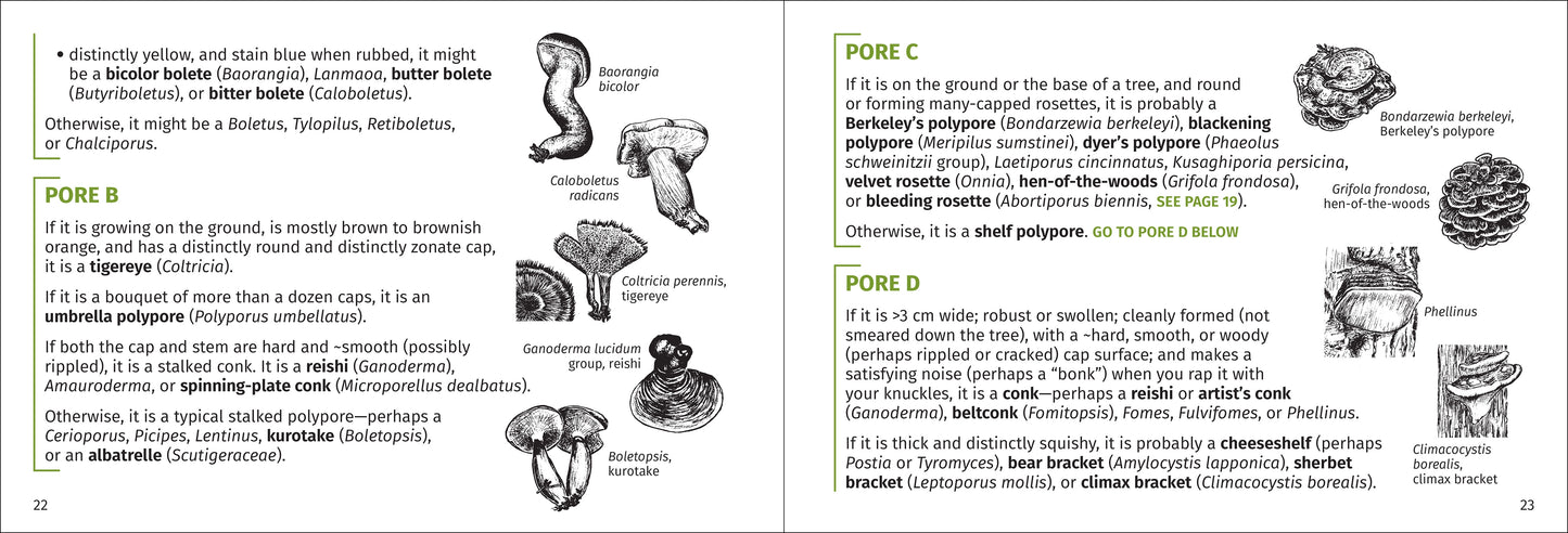 Mushroom Finder: Identifying Fungi in North America