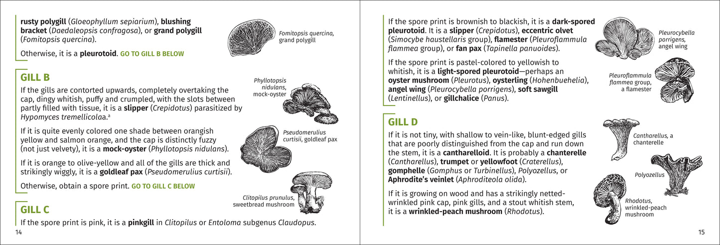 Mushroom Finder: Identifying Fungi in North America