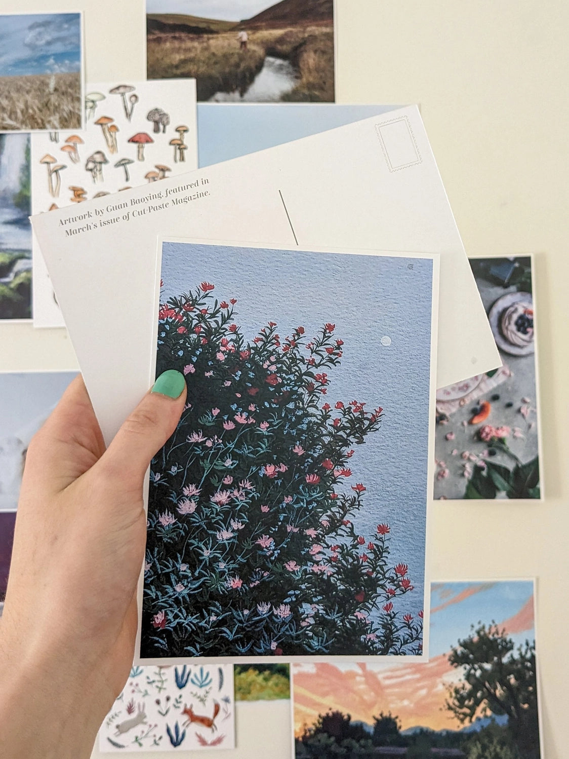 Cut + Paste Issue 03: Quiet
