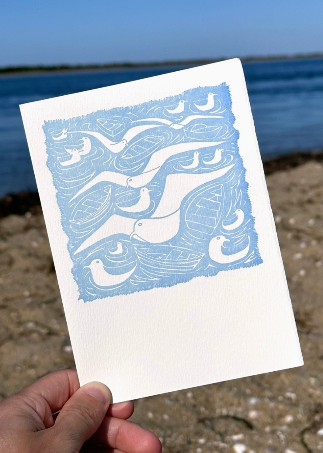 Gulls Card