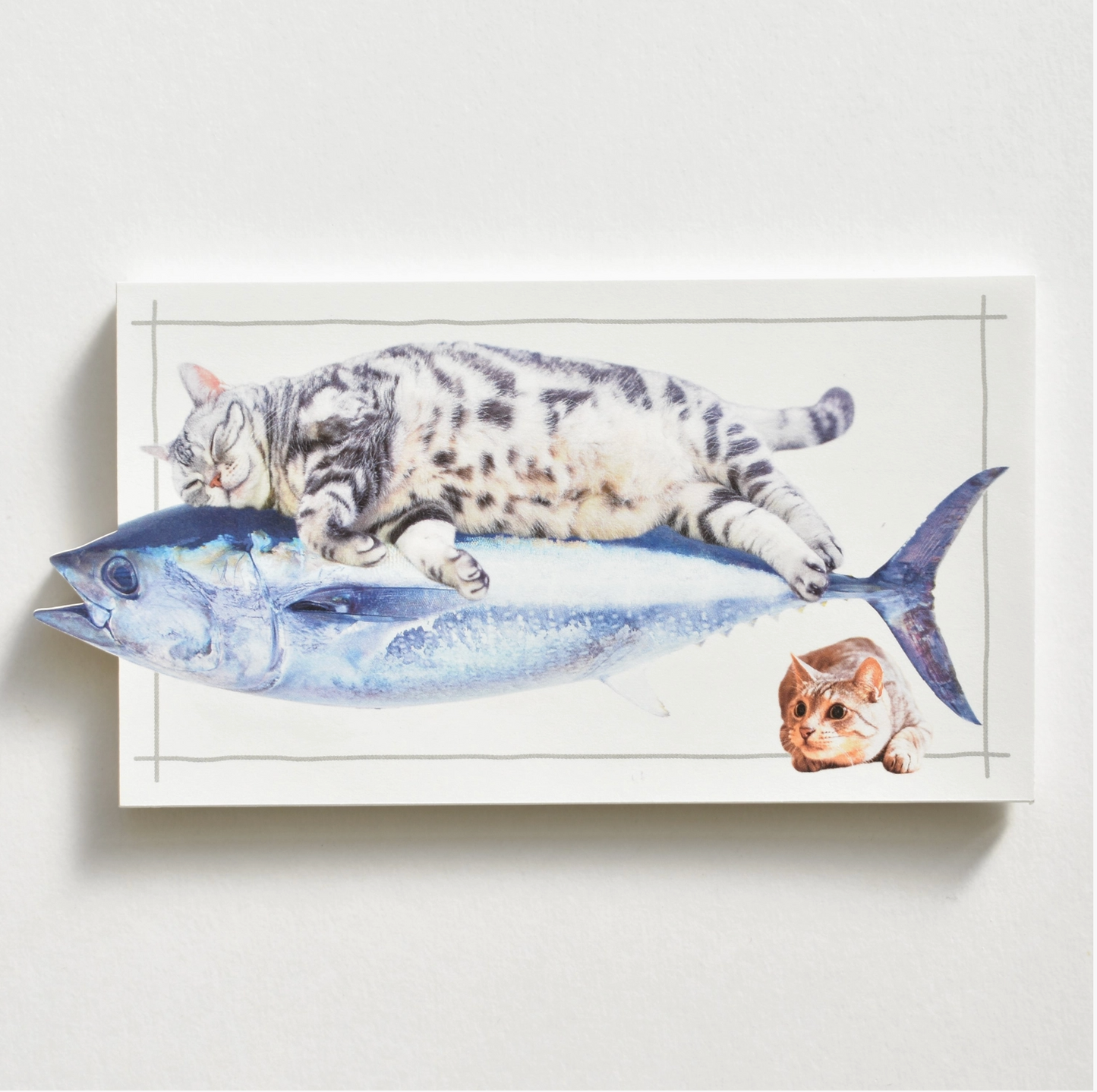 Ippitsu Maguneko Cat Memo Pad