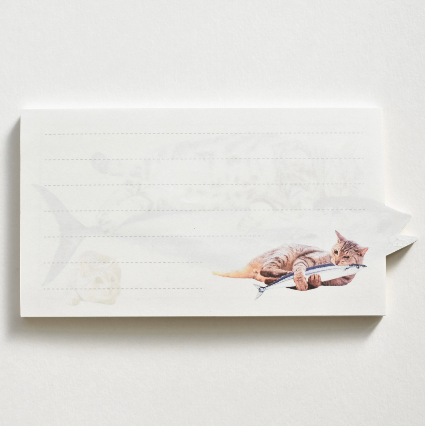 Ippitsu Maguneko Cat Memo Pad