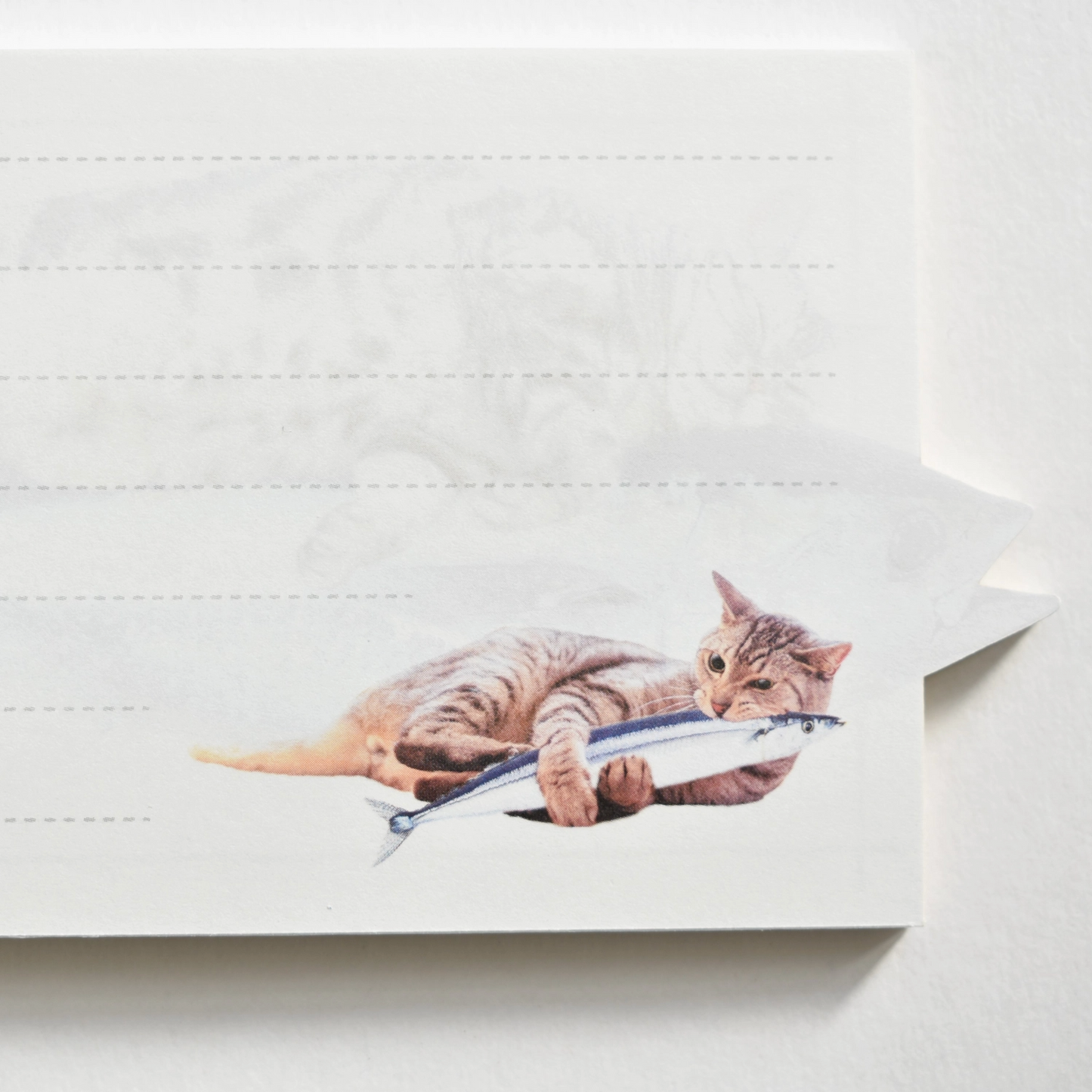 Ippitsu Maguneko Cat Memo Pad