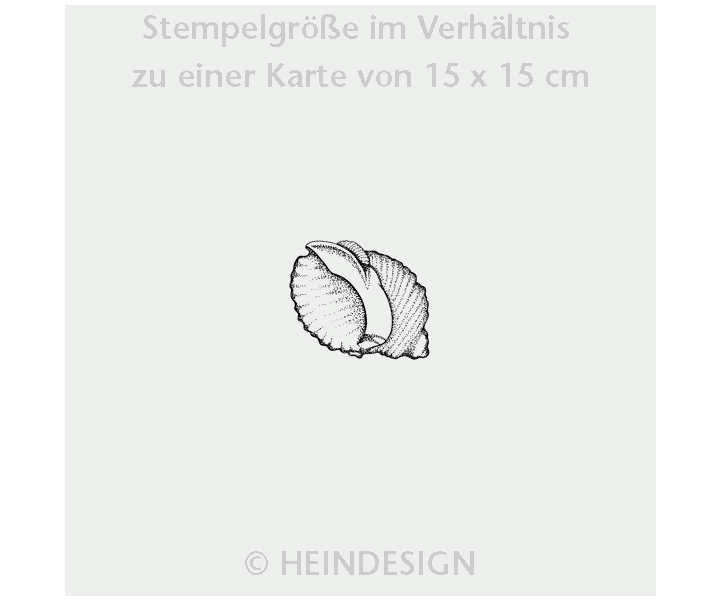 Shells 4-Sided Stamp
