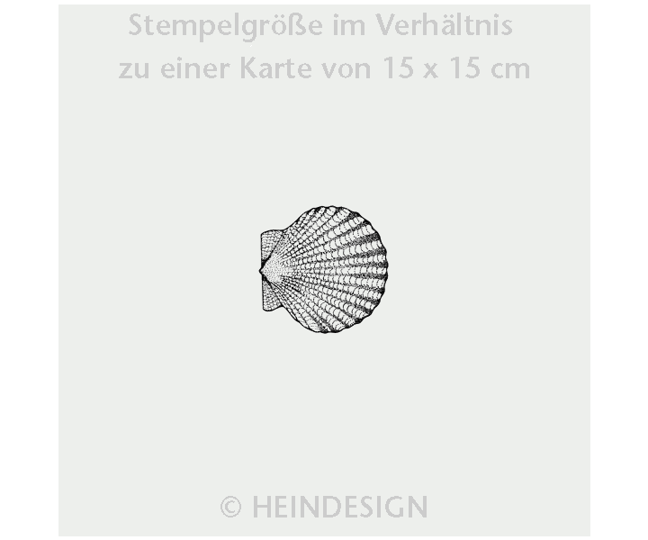 Shells 4-Sided Stamp