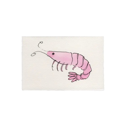 Shrimp Card