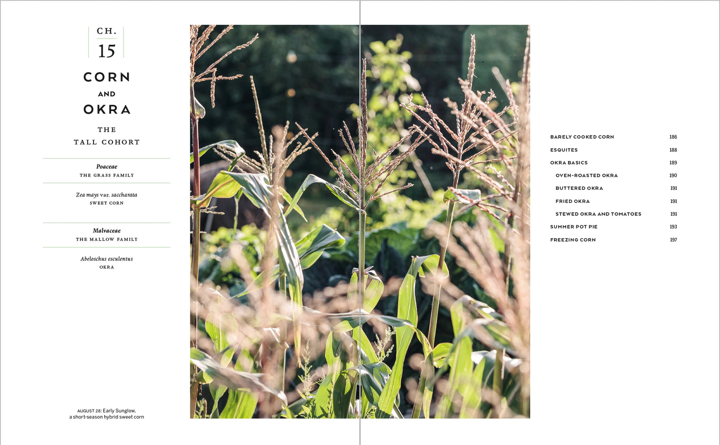 The Cook's Garden
