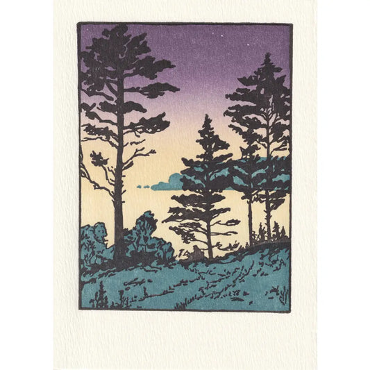 Twilight Sheepscot River Card