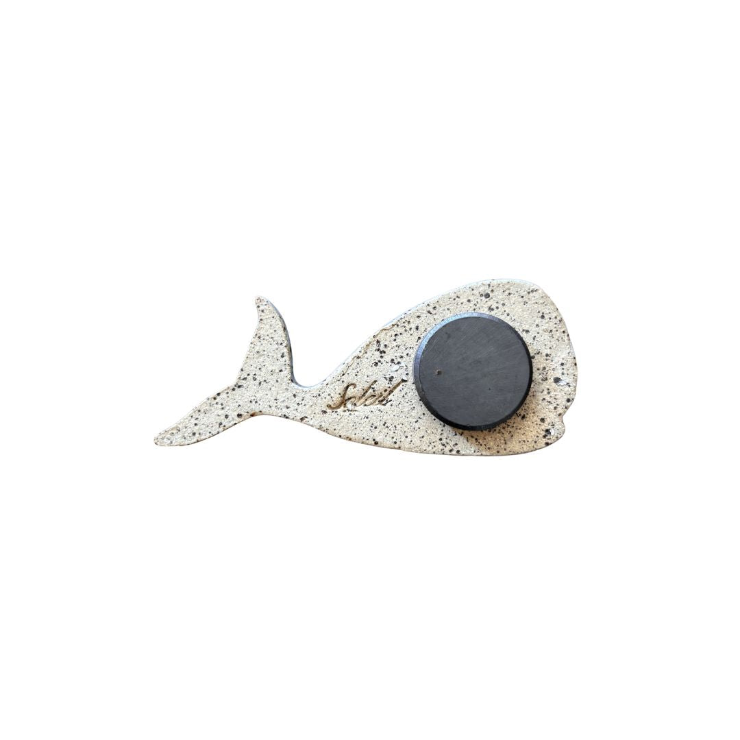 Whale Magnet