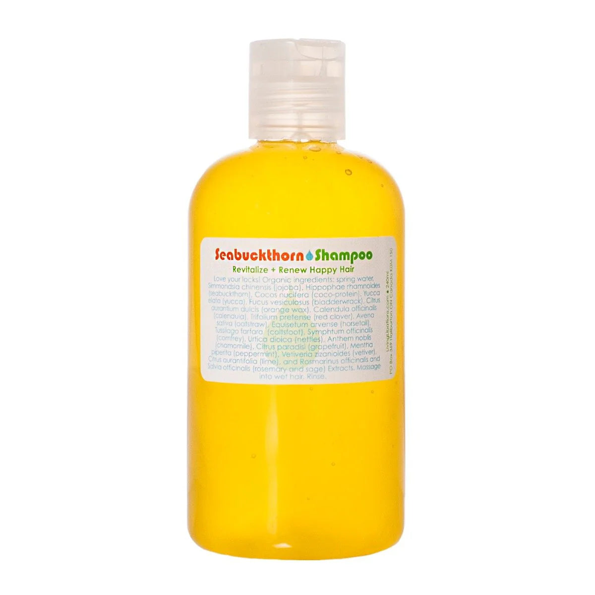 Seabuckthorn Shampoo